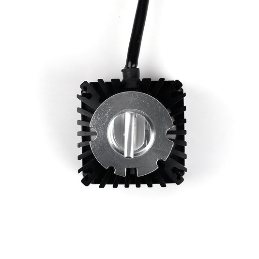 D8S LED Headlight Bulbs