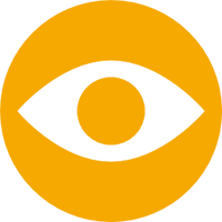 Our Vision