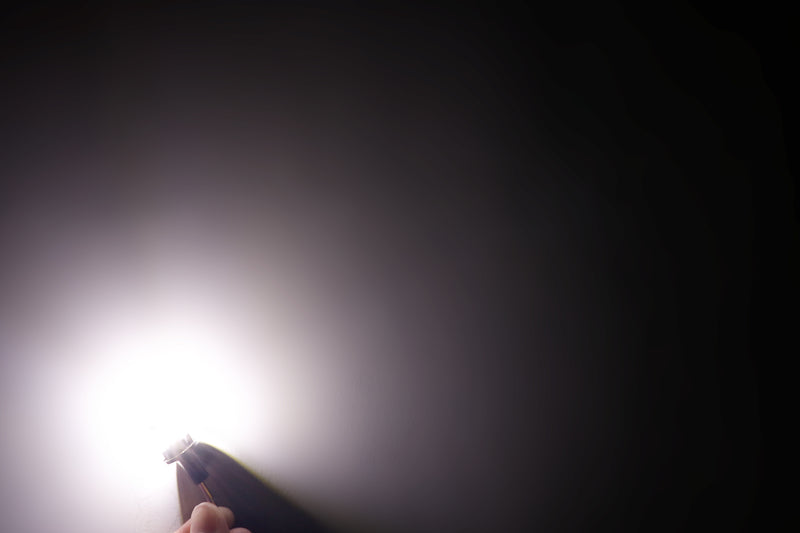 Load image into Gallery viewer, LED License Plate Light Bulbs High Performance Wholesale