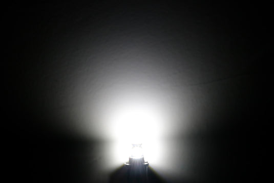 LED License Plate Light Bulbs High Performance Wholesale
