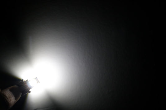 LED License Plate Light Bulbs High Performance Wholesale