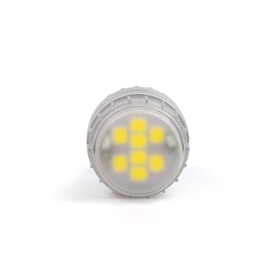 7440 Halogen Size Back-Up Light