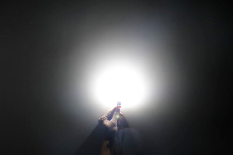 Load image into Gallery viewer, LED License Plate Light Bulbs High Performance Wholesale

