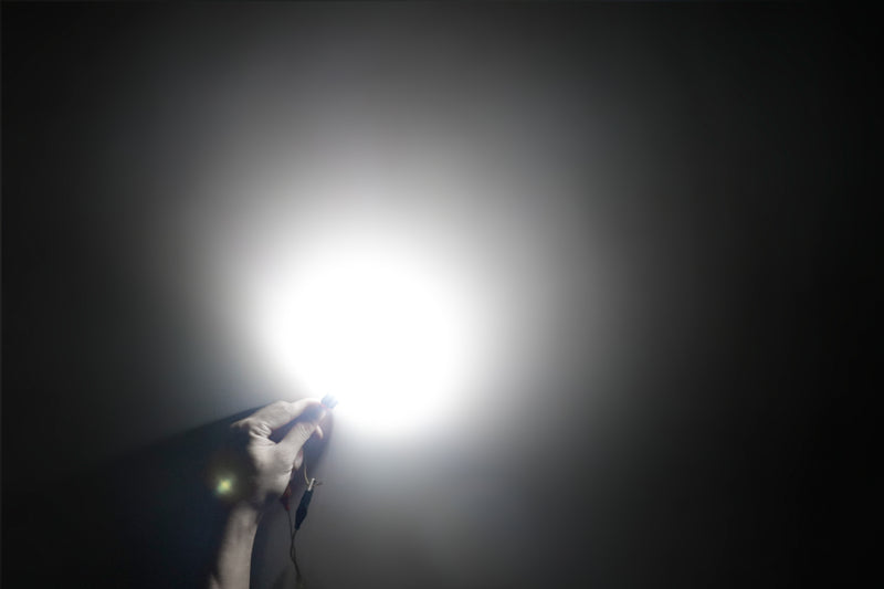 Load image into Gallery viewer, LED License Plate Light Bulbs High Performance Wholesale
