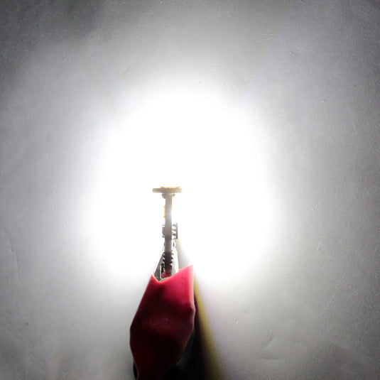 T10 Canbus LED Car License Plate Light Bulbs